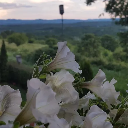 Casa de hóspedes At Three Oaks Vizitsa